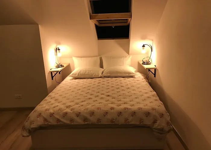 House 54 Guest house 3*